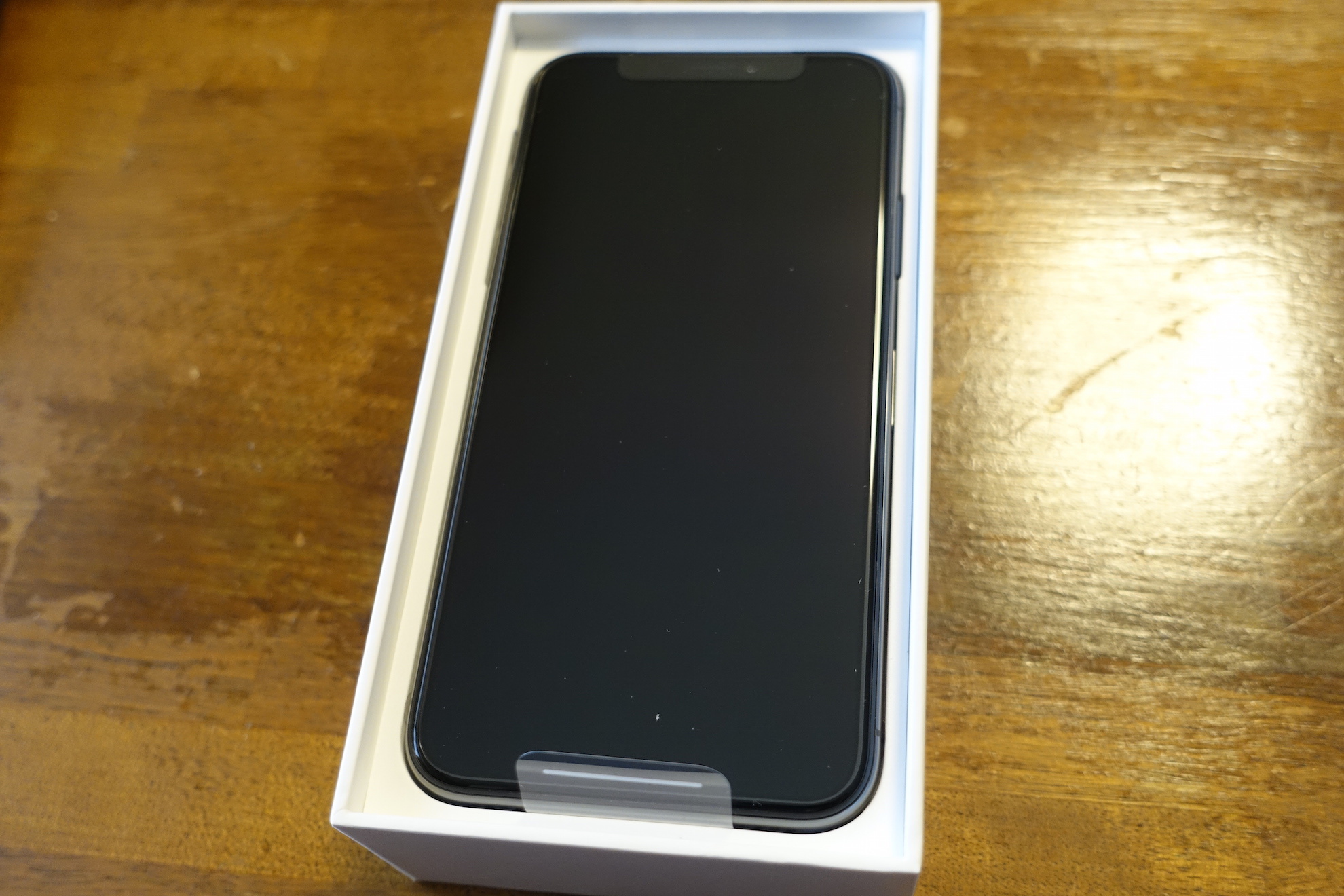 iPhone X