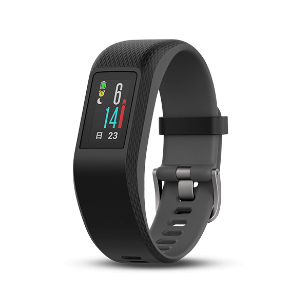 vivosport