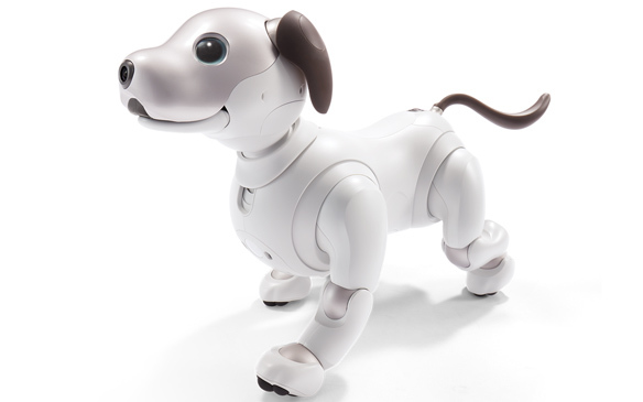 aibo
